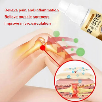 Pain Relief Cold Spray - TheFindsByAzlan